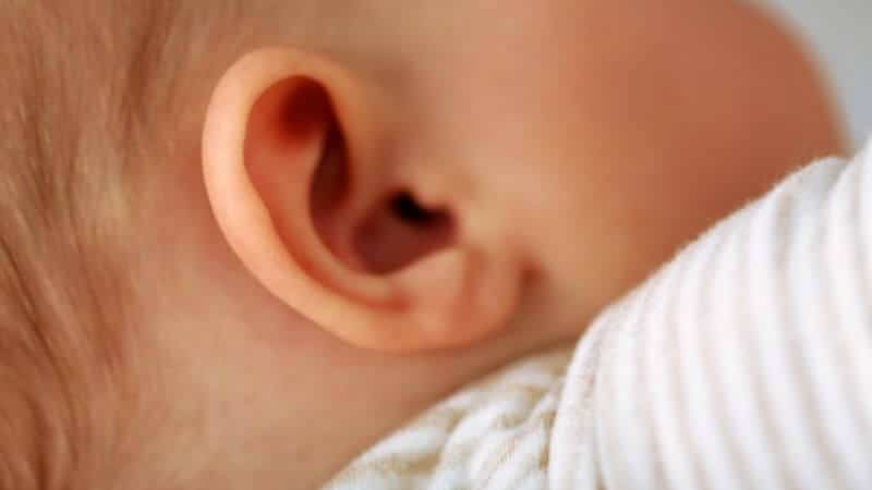 ０歳児の耳は情報集めに大忙し