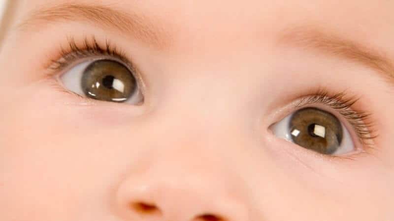 １歳児の見る能力・赤ちゃんの目