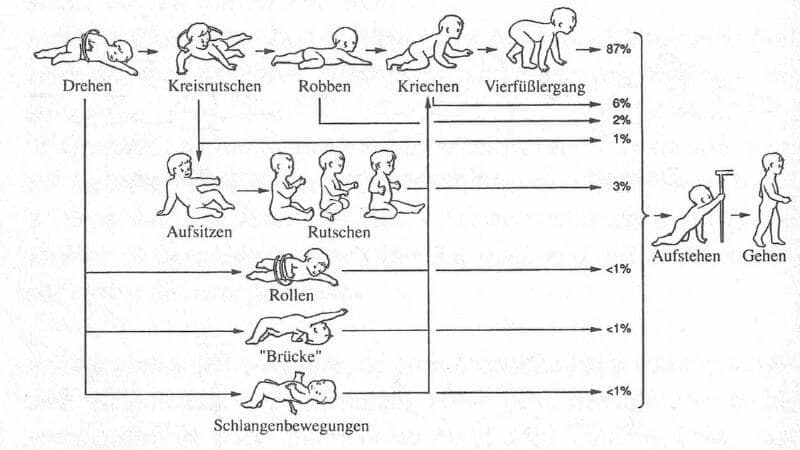 【赤ちゃんの動き方：種類とその割合】スイスの小児科医・Largo先生チームの研究結果のまとめ