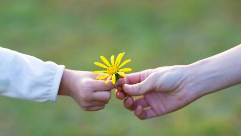 手を繋ぎ花を持つ親子