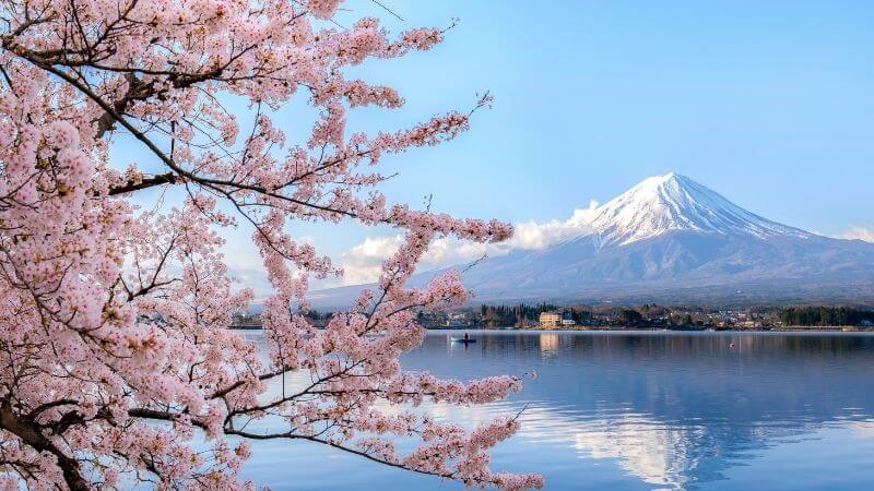へっこきよめさの選択は正しかったのか／日本人の母は悩む。富士山と桜