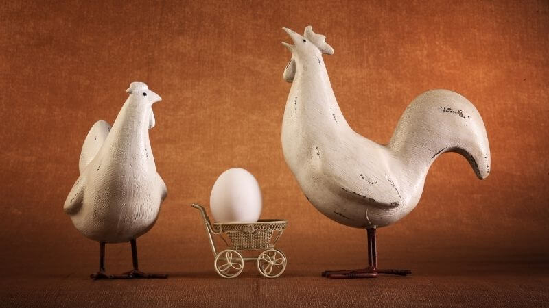 卵を守る鶏夫婦（過保護の象徴）