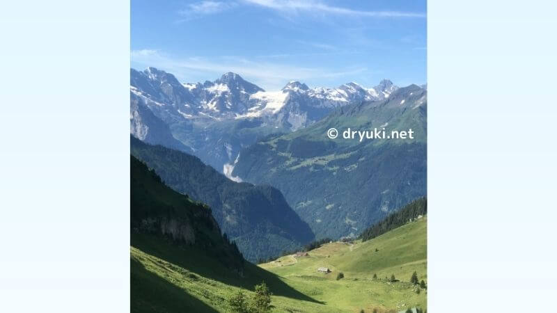 シーニゲプラッテからのスイスアルプスと森と草原の絶景